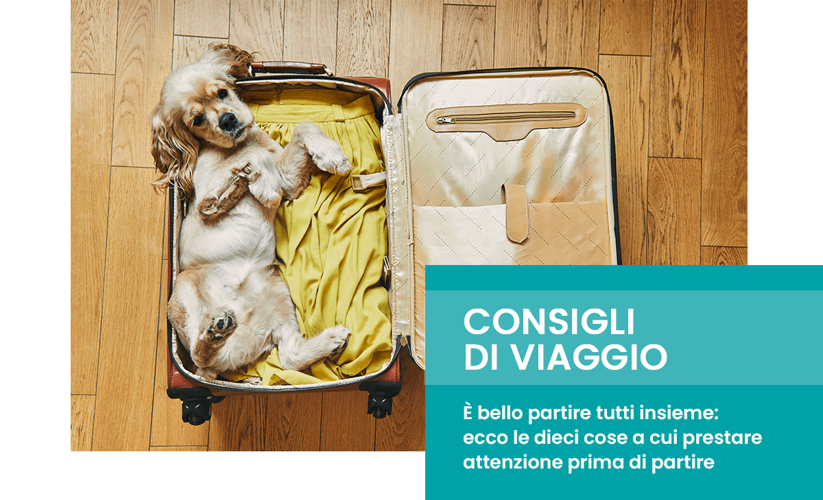 Consigli per le vacanze
