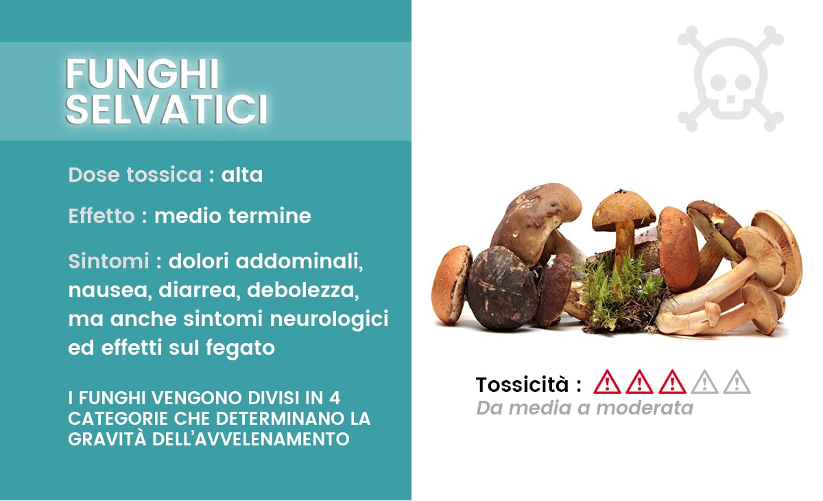 Avvelenamento da funghi selvatici