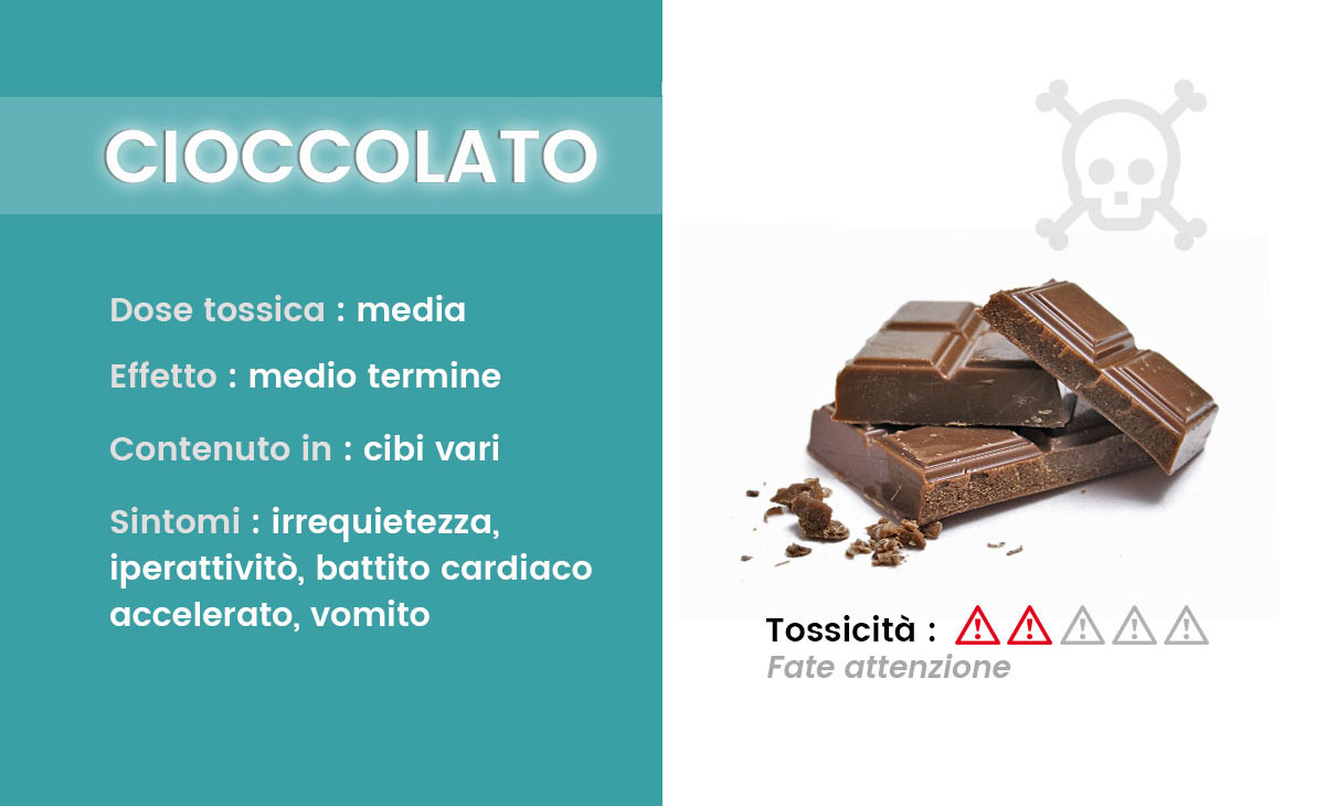 Avvelenamento cioccolato