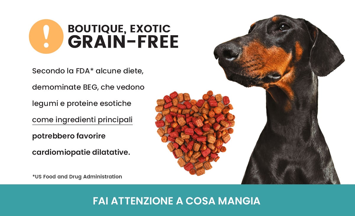 Dieta Grain-free