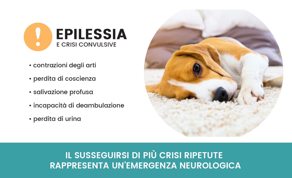 Epilessia