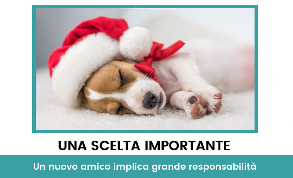 Regalare un cucciolo