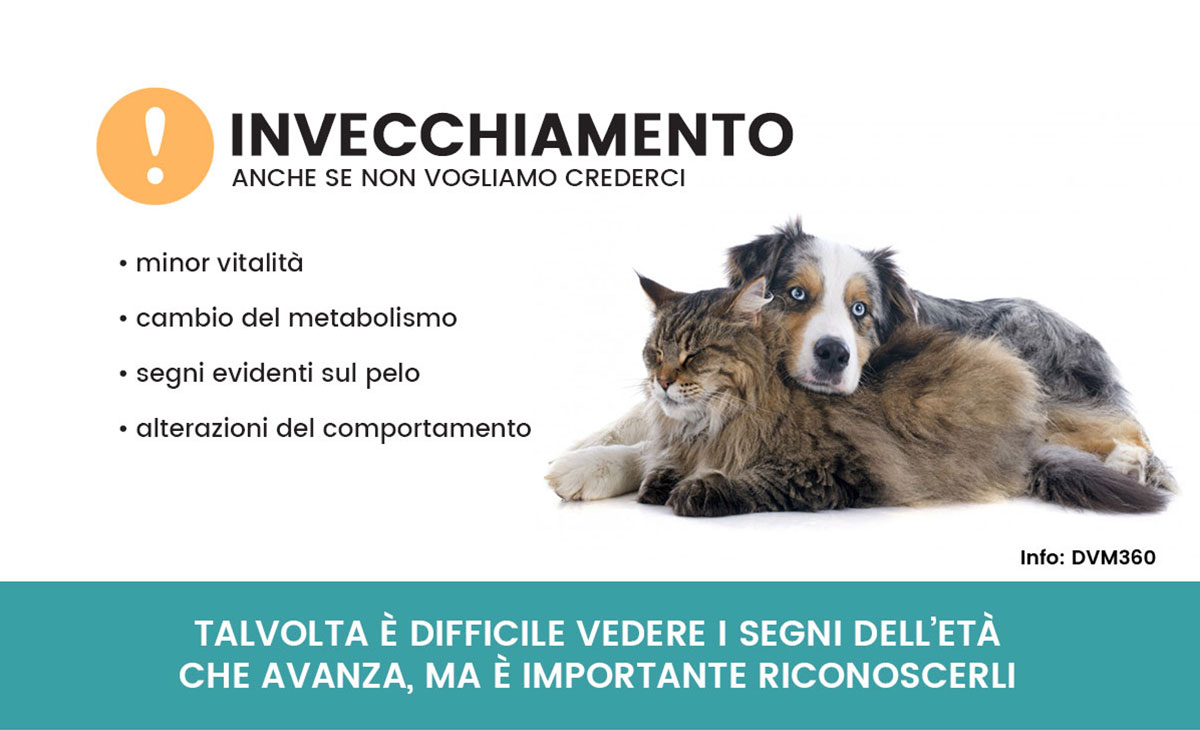 Segni di vecchiaia