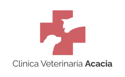 clinica veterinaria Acacia Paradiso