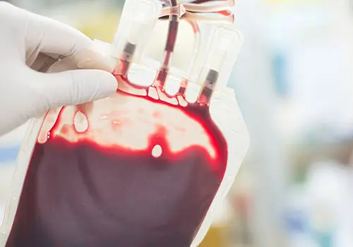 banca del sangue per cani e gatti