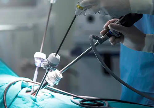 chirurgia mini invasiva veterinaria